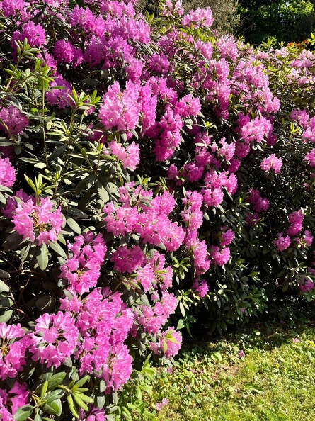 23-06-03 16-50-28 5801.jpeg